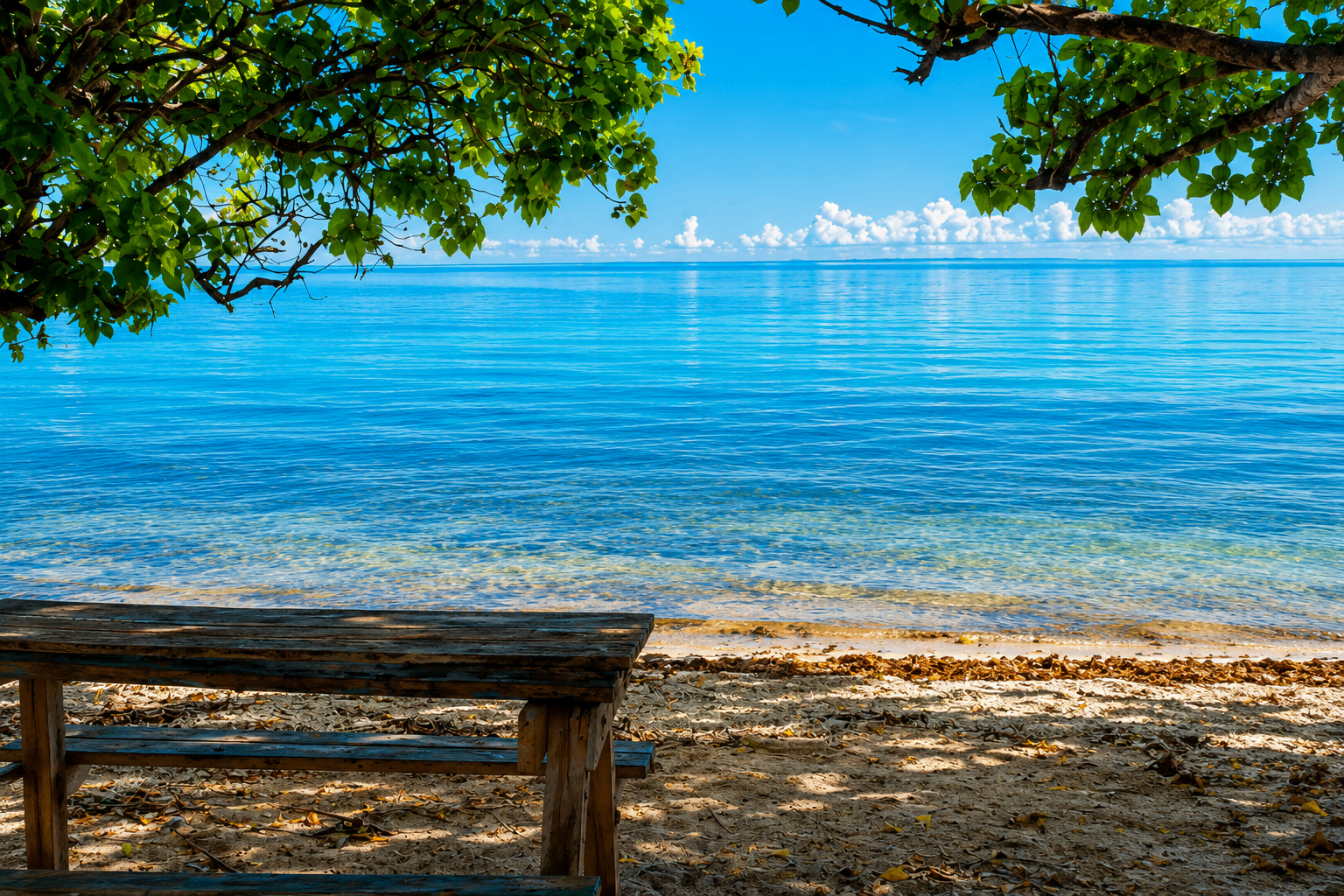 A wooden bench under a shade tree overlooking calm turquoise water near Melones, Culebra