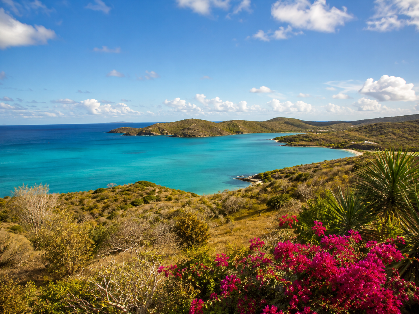 Turquoise Culebra bay seen from a flowering hillside overlook
