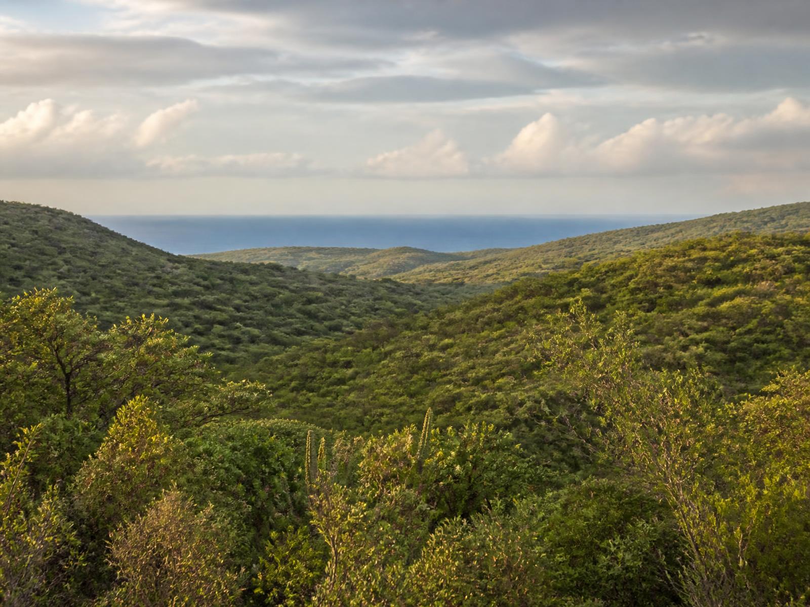 31.5 cuerdas of undeveloped land in Fraile, Culebra