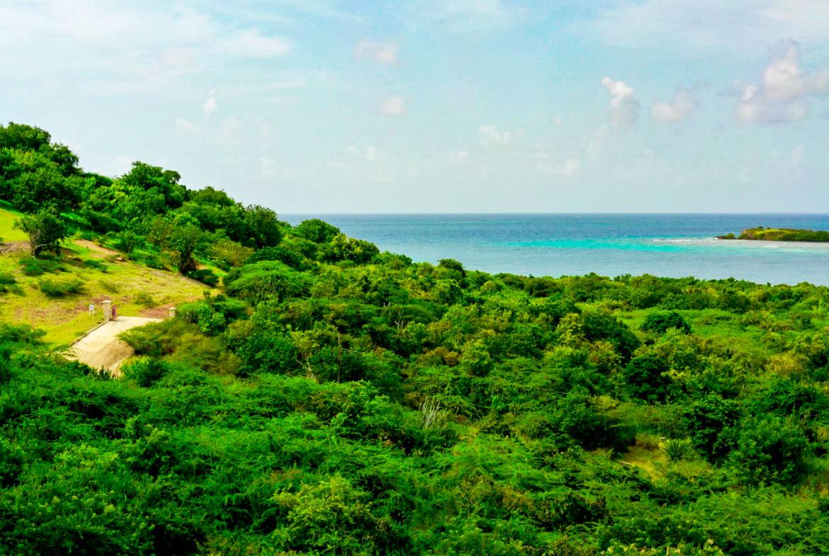 Northview Estates 5 Acre Lot — Northview Estates, Culebra, Puerto Rico